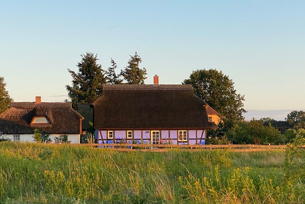 reetgedeckte Häuser